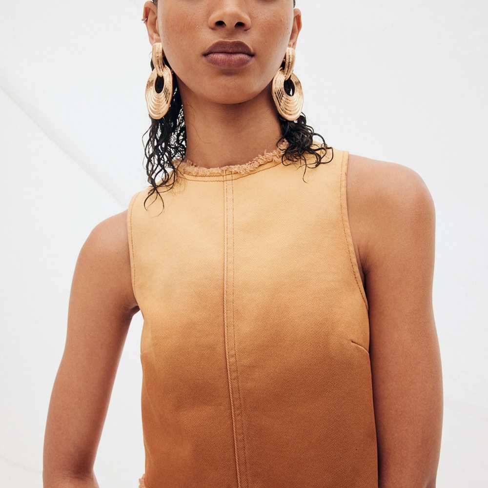 Zara Ombre Tan Sleeveless Top